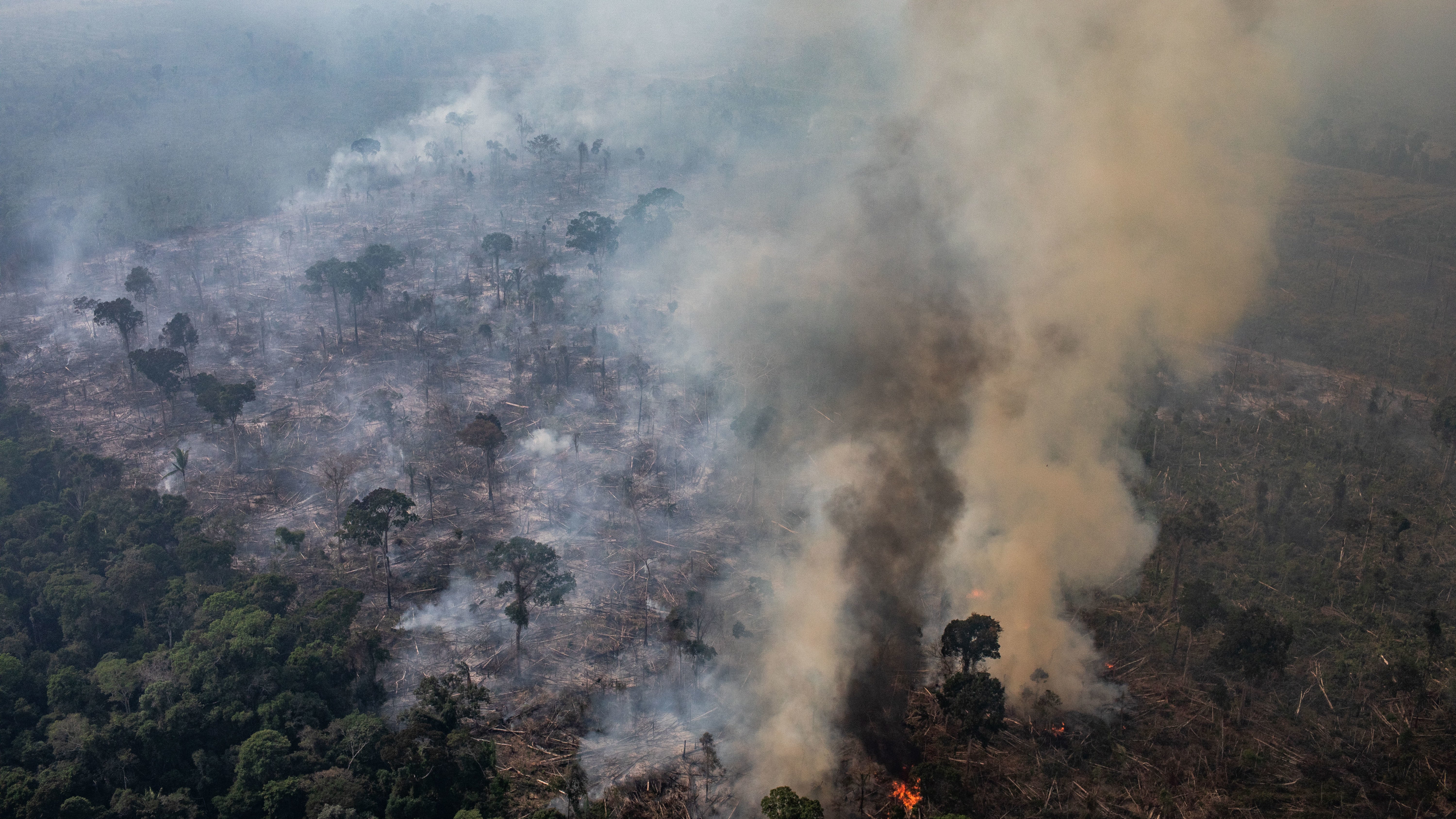 Track The Amazon Rainforest Fires With This Map
