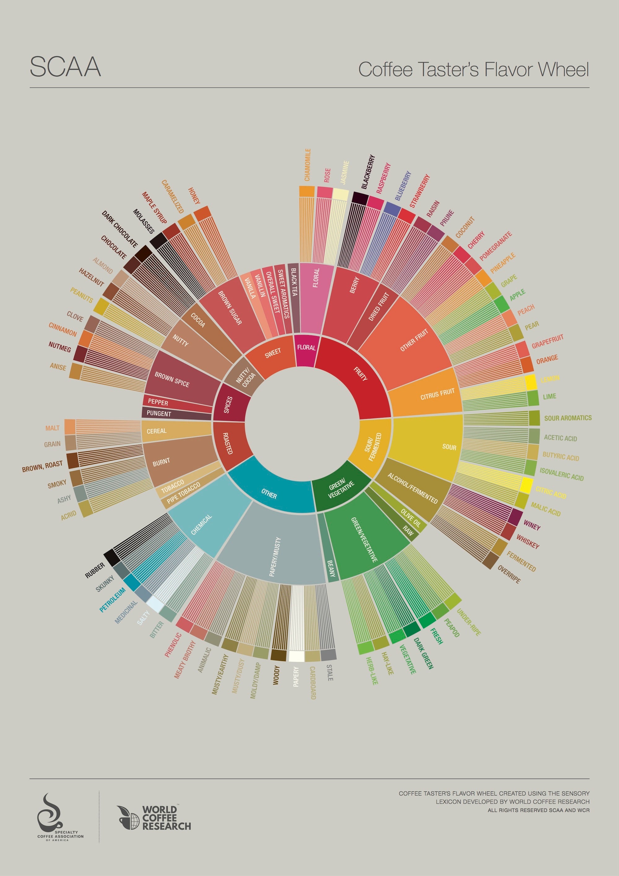 explore-the-flavours-in-your-coffee-with-this-tasting-wheel-infographic