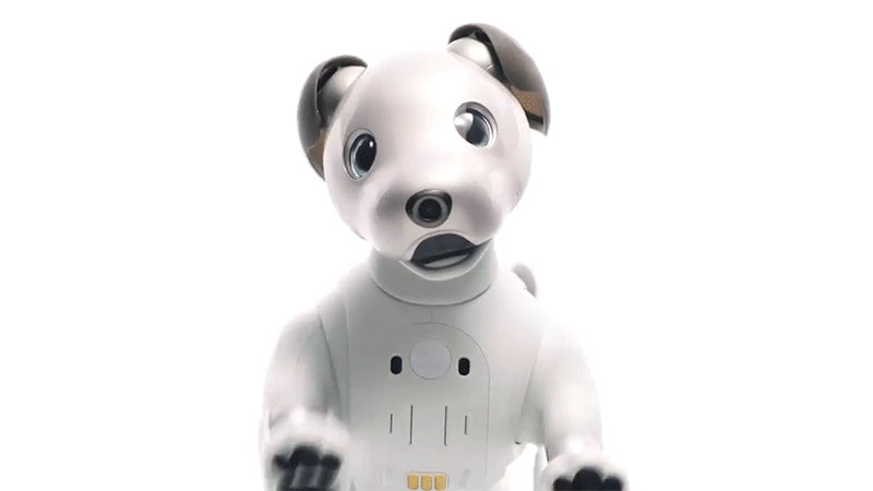Sony's Robotic Dog Aibo Is Back From The Dead | Gizmodo ...