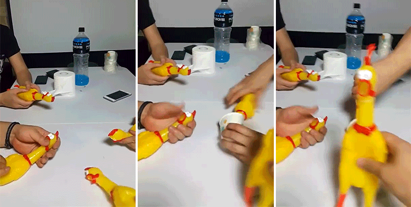Check Out This Hot EDM Track Made From Just Rubber Chicken Sounds