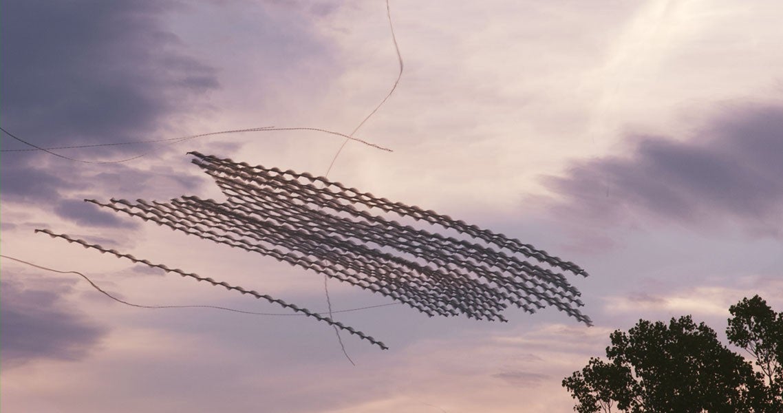 You've Never Seen Birds Fly Like This Before | Gizmodo Australia