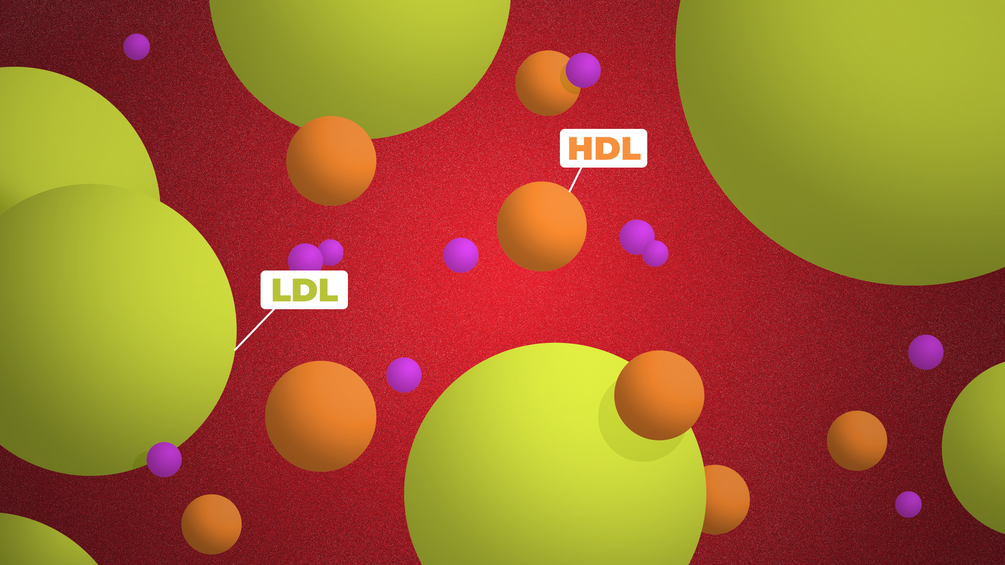 What Your Cholesterol Numbers Really Mean | Lifehacker ...