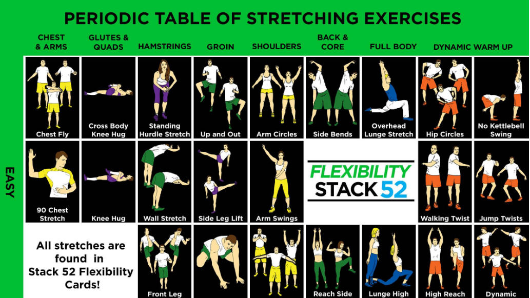 Muscle Stretch Chart