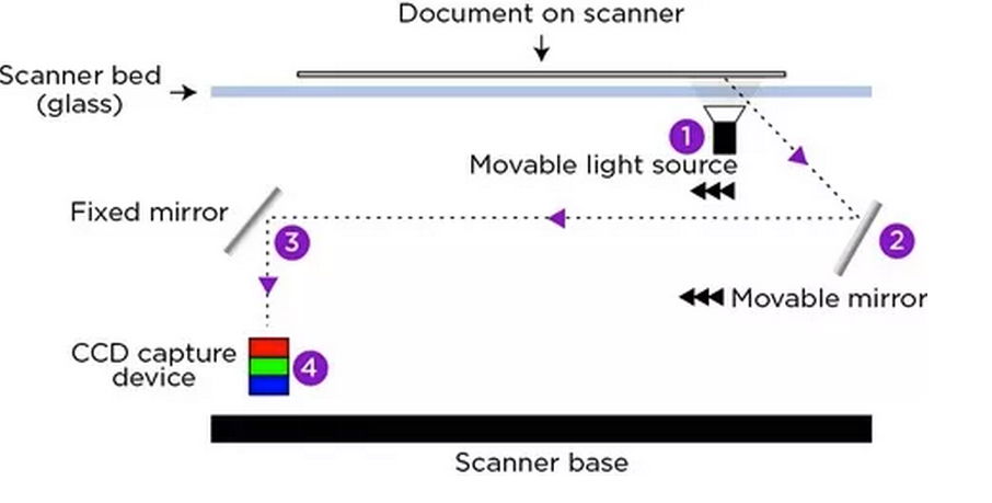 What Would Happen If You Put A Mirror In A Scanner?