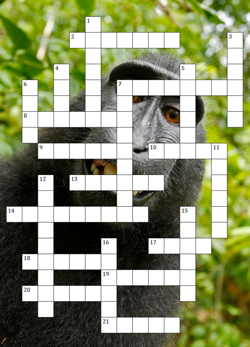 Here #39 s A Festive Crossword Puzzle About 2014 #39 s IP And Copyright News