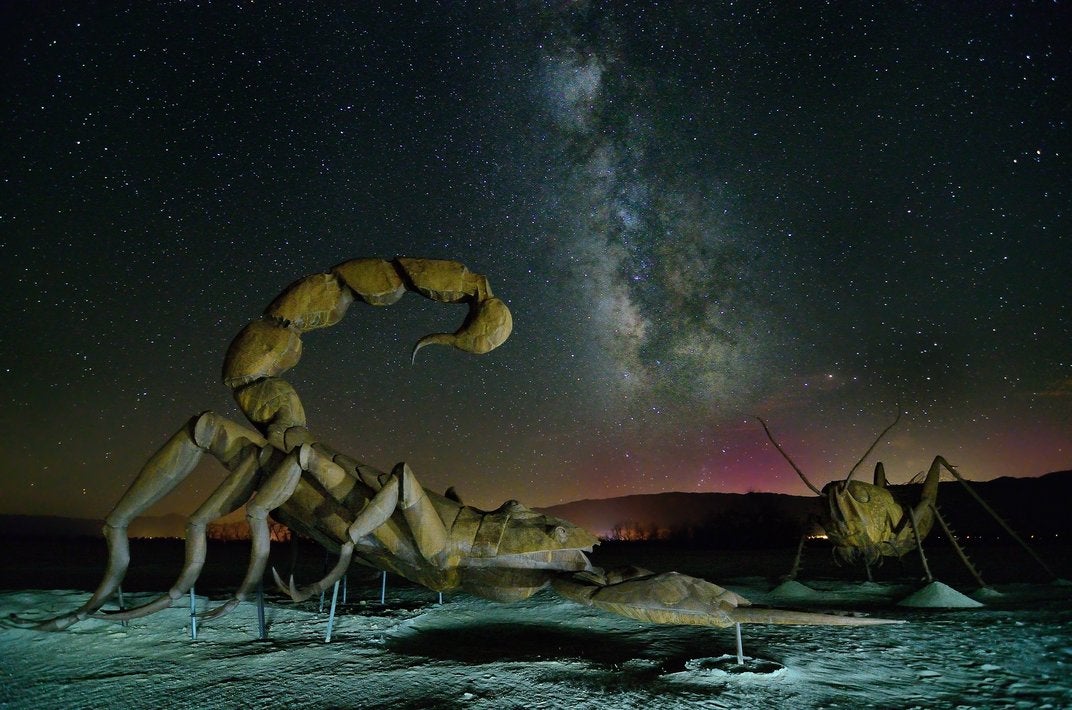 10 Incredible Images From This Year's Smithsonian Photo Contest