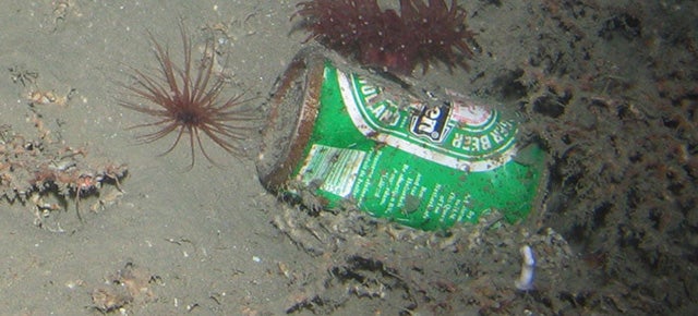 There S Garbage In The Deepest Most Remote Parts Of The Ocean