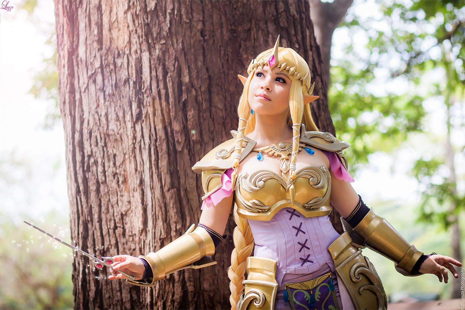 zelda cosplay