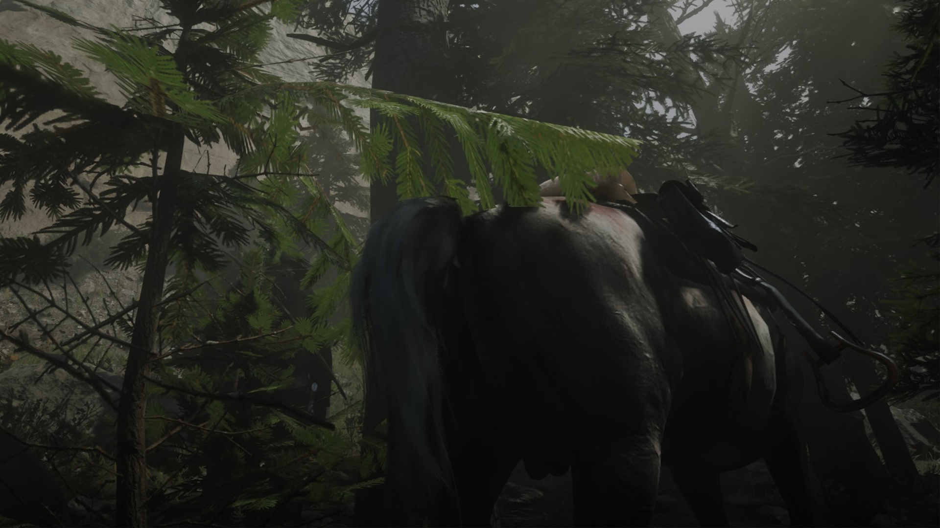 I Think My Horse In Red Dead Online Is Pooping Too Much