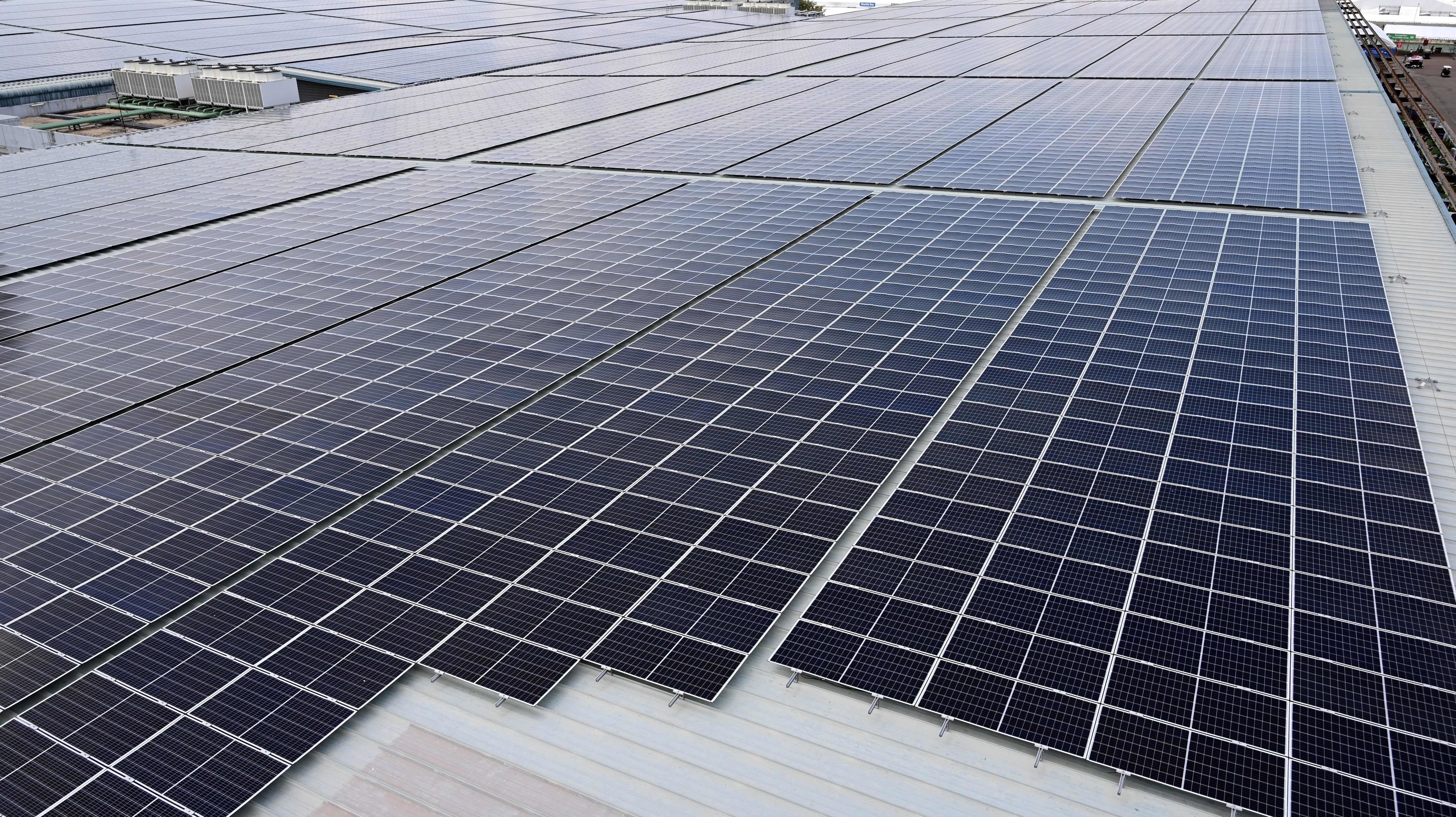 Renewable Energy Set A Major Record In 2019
