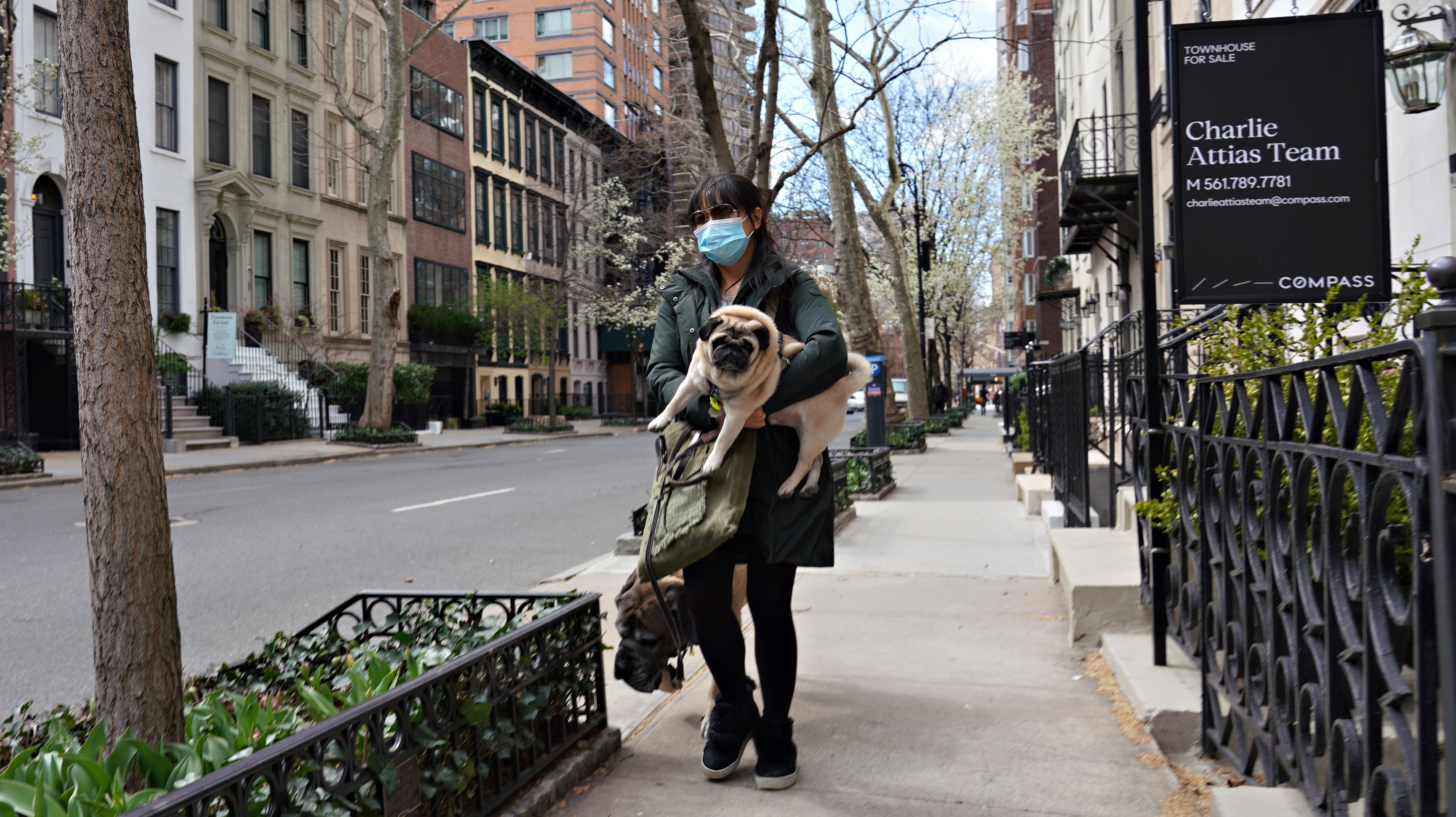First US Dog Tests Positive For Coronavirus