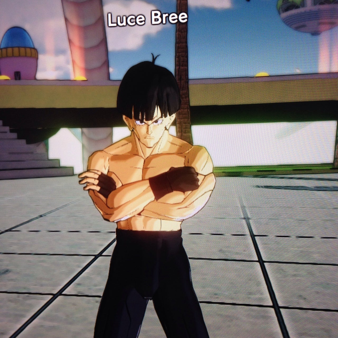 Players Are Making The Best Dragon Ball Xenoverse Characters