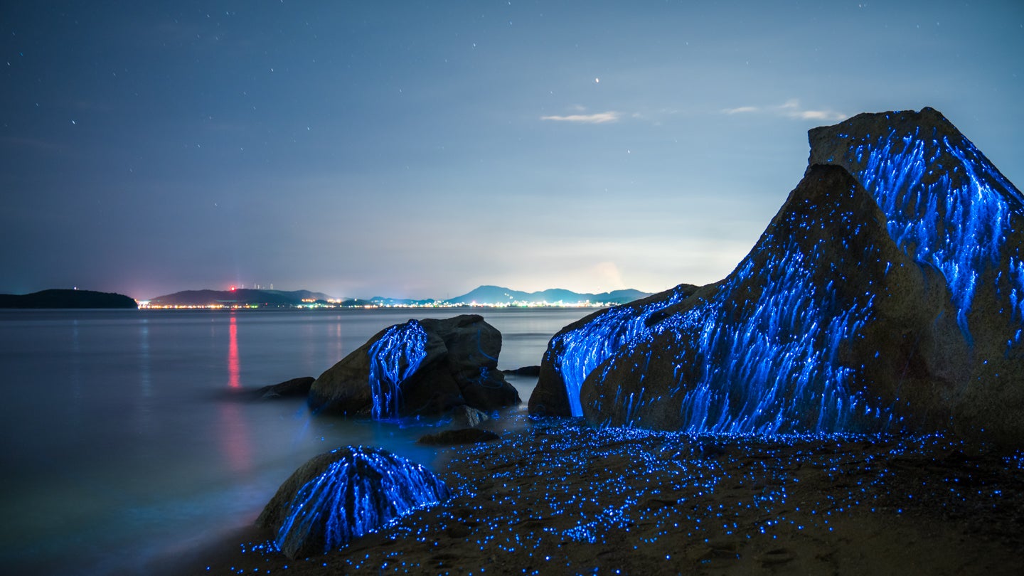 These Glowing Rocks Actually Capture One Of Nature's Most Beautiful ...