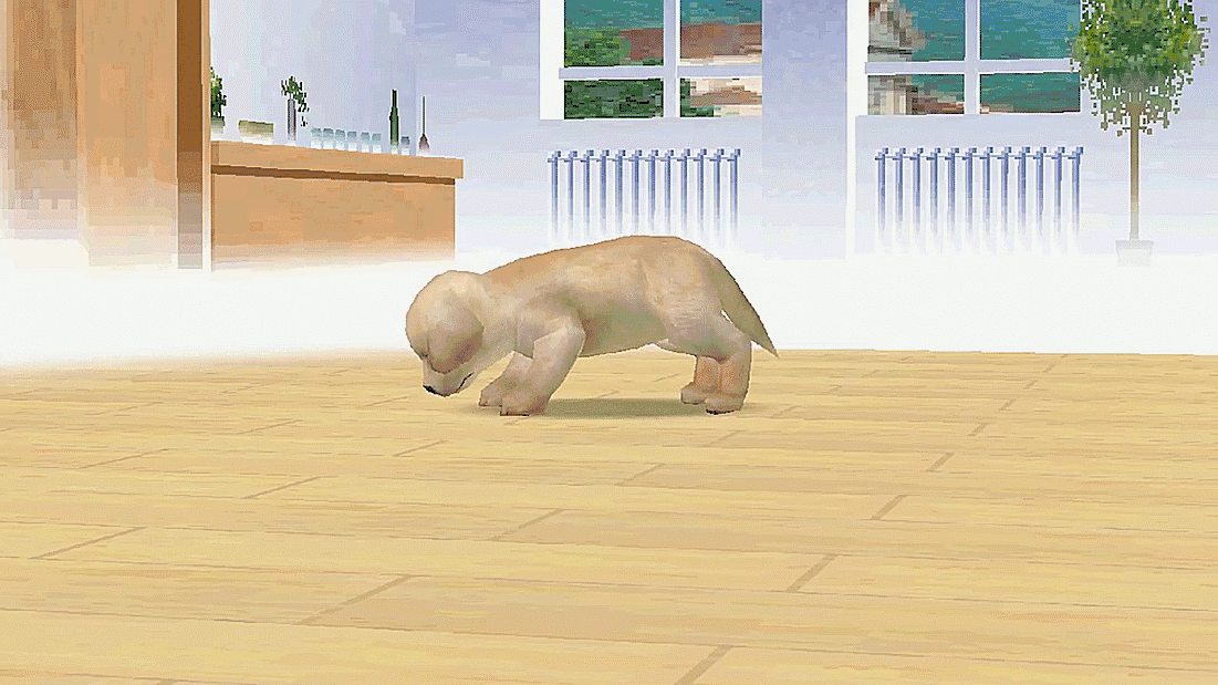 Getting Out Of Bounds In Nintendogs Makes The Puppies Act Weird