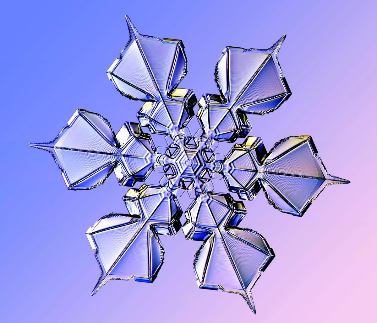 Snowflake Add Constraint If Not Exists