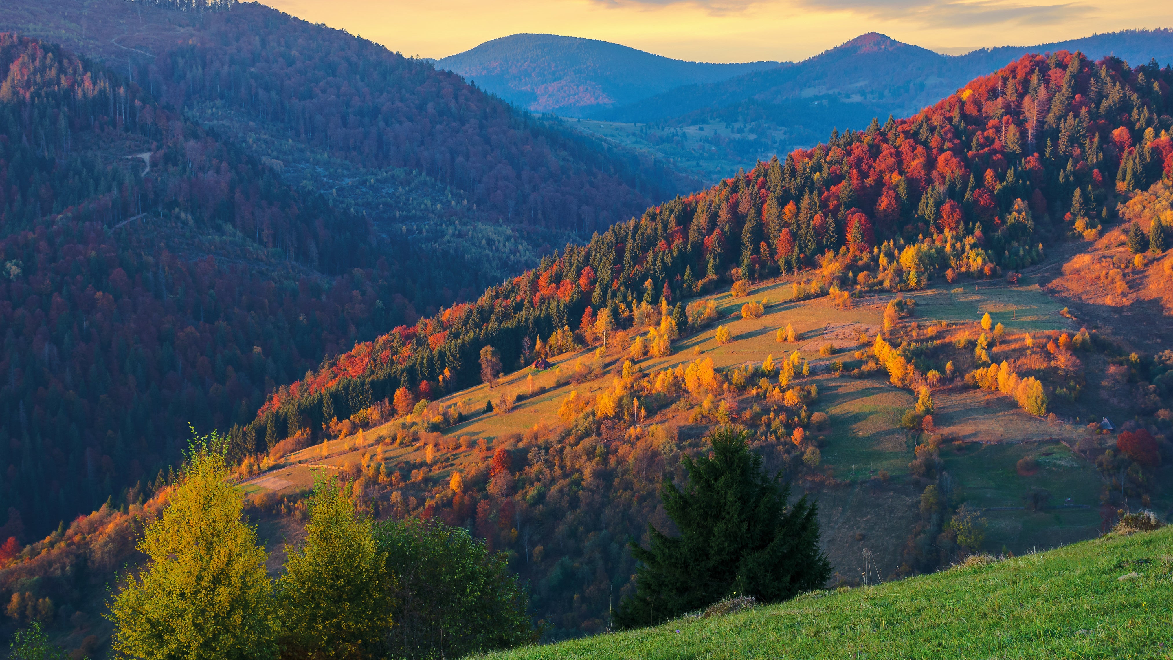 How To Find The Best Autumn Foliage For Your American Trip