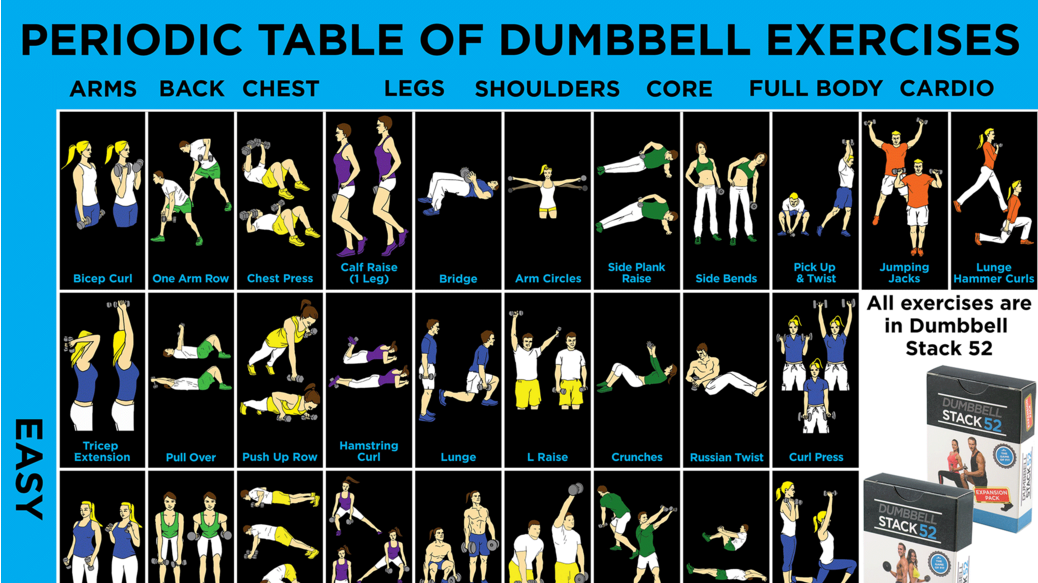 Dumbbell Exercise Chart
