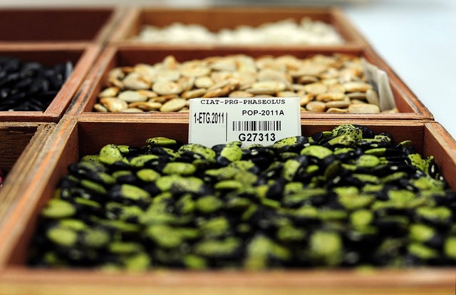 Doomsday Seed Vault Adds 20k New Crops -- Including Beer Barley