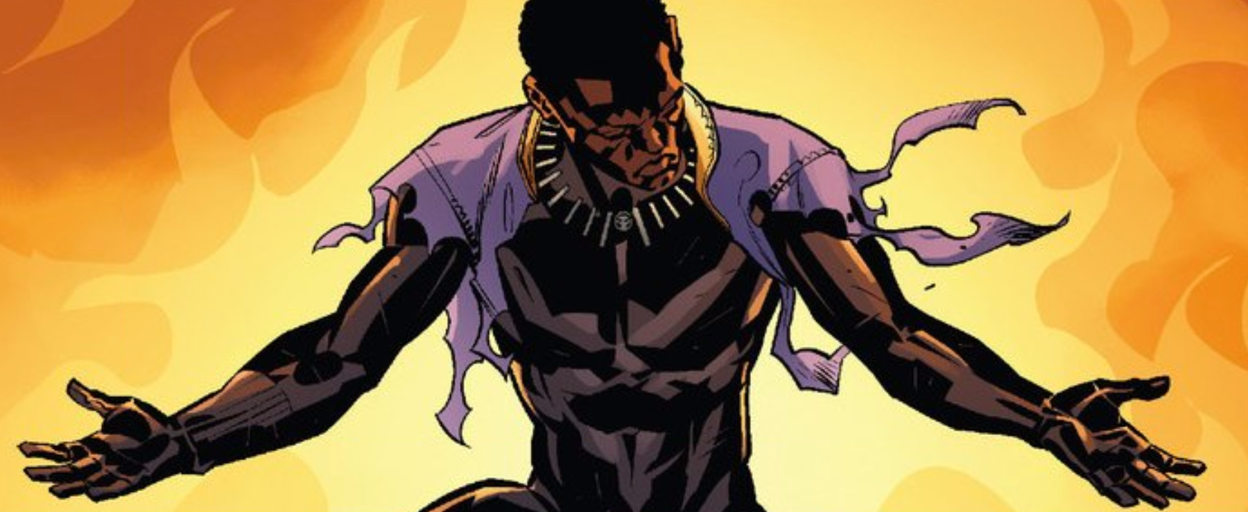 Black Panther, Vol. 1 by Ta-Nehisi Coates