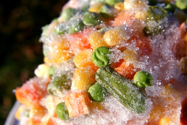 The Best (and Quickest) Ways to Thaw Frozen Food