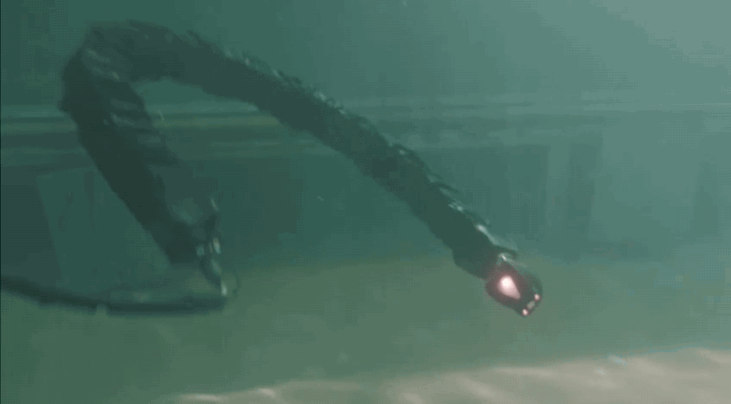 Robotic Snakes Are the Stuff of Undersea Nightmares