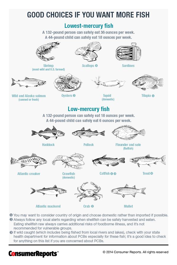 Know Which Fish Are Low In Mercury With This Chart | Lifehacker Australia