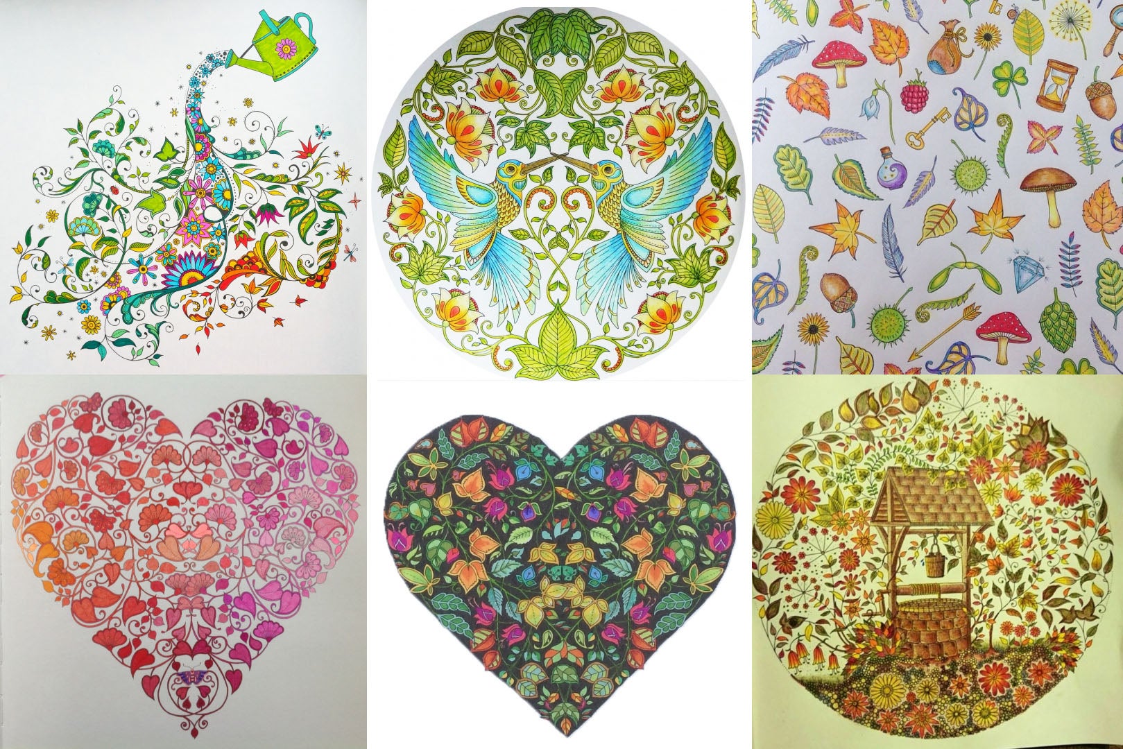 Why Millions Of Grownups Are Buying This Colouring Book For Adults Gizmodo Australia Why Millions Of Grownups Are Buying This Colouring Book For Adults Gizmodo Australia