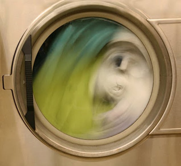 Scary creatures are hiding inside our washing machines