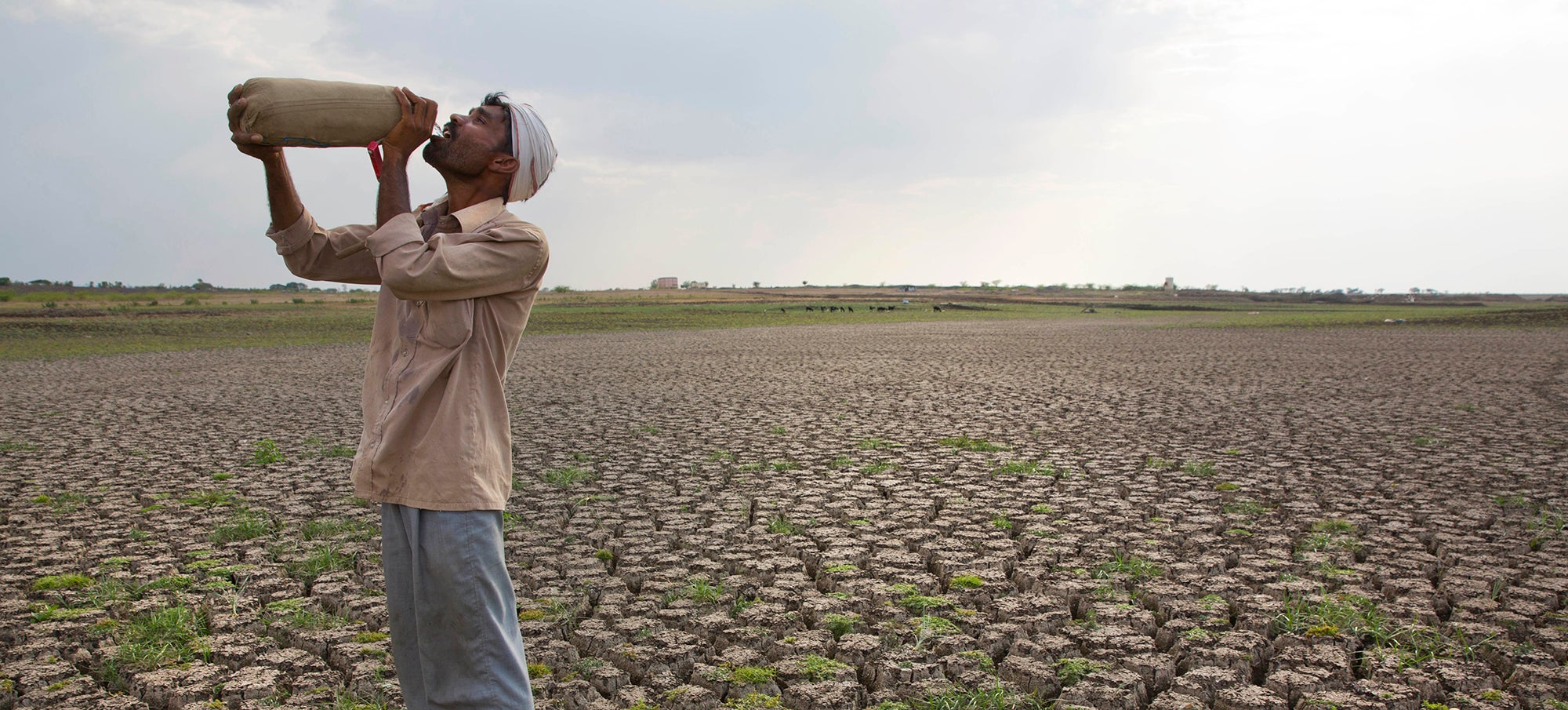 India Experienced Its Hottest Ever Recorded Temperature Of 51C