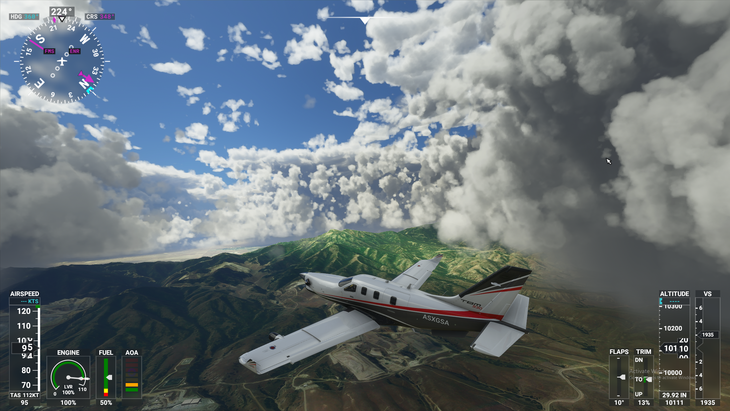 flight simulator x servers
