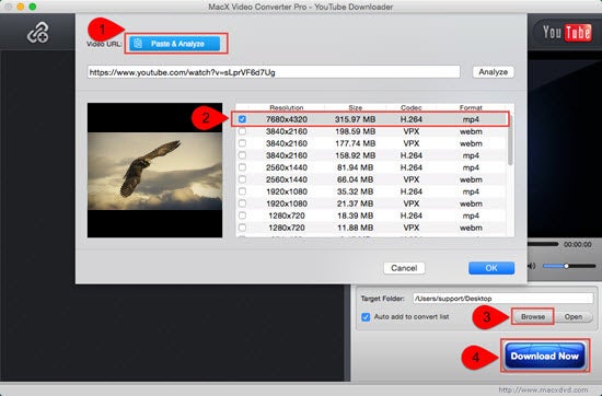 movies with 4k video downloader