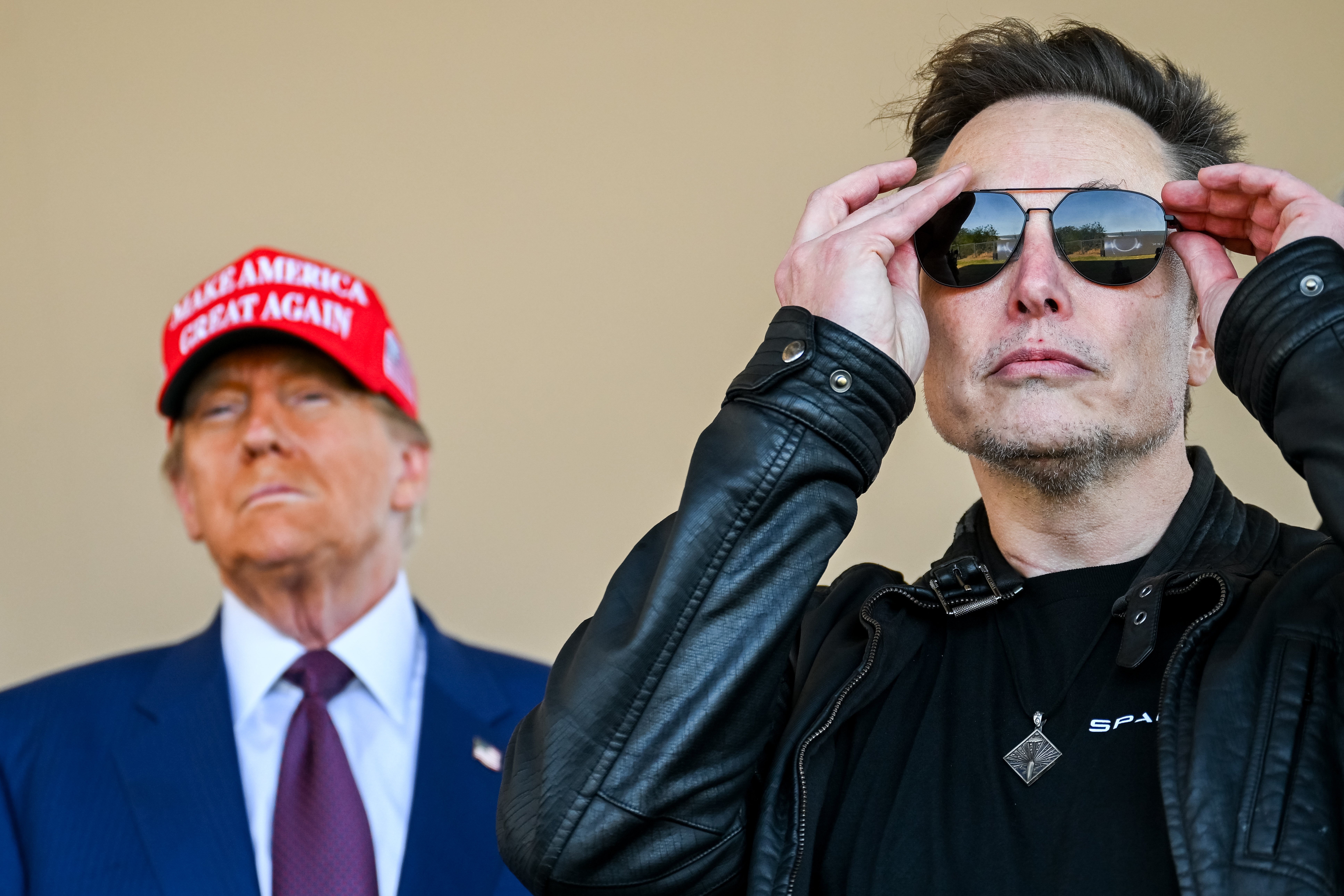 Image for Elon Musk sagt, man solle ihm nicht die Schuld für alles geben, was Trump tut