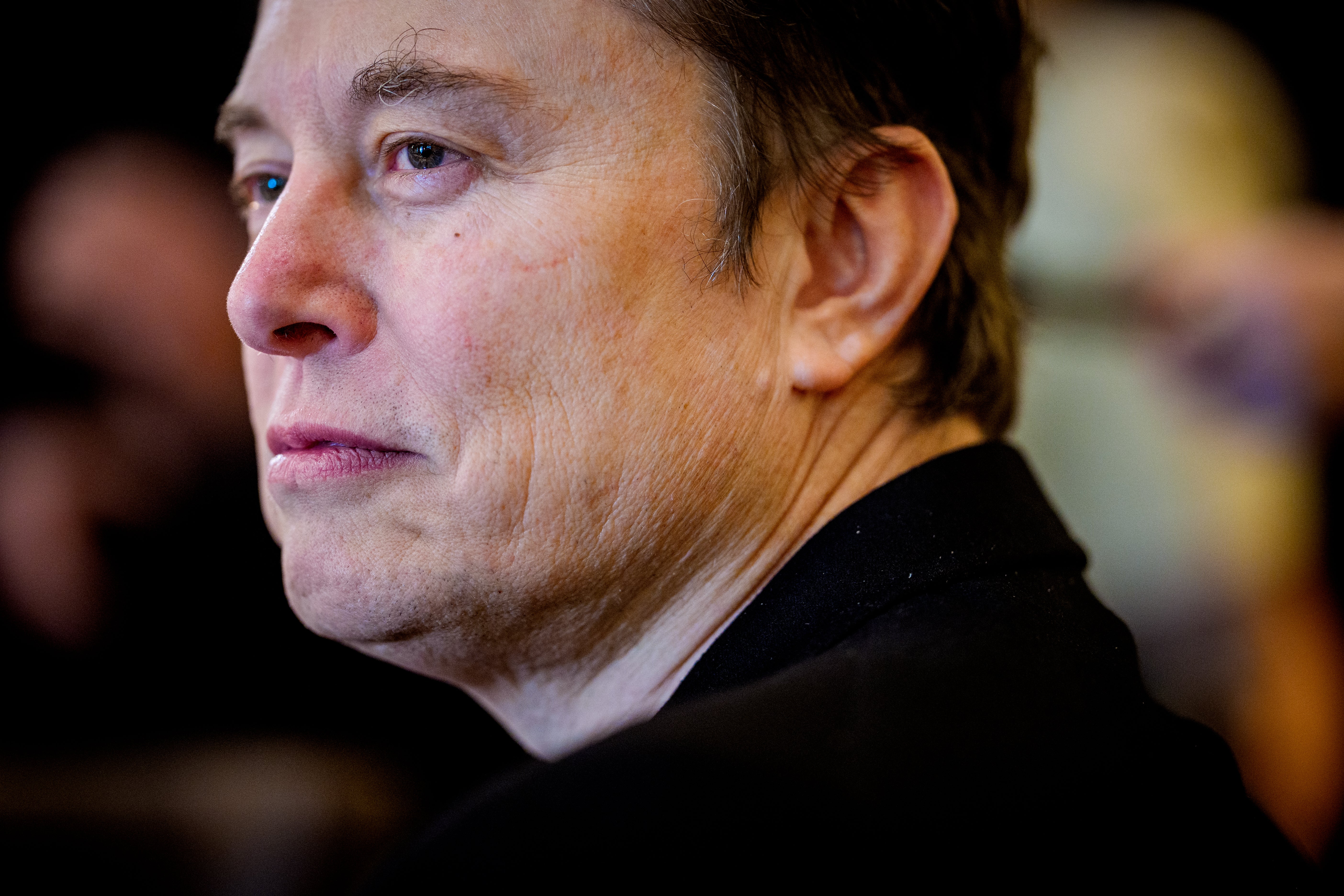 Image for Elon Musk streitet mit seinen texanischen Nachbarn über sein Traumgrundstück