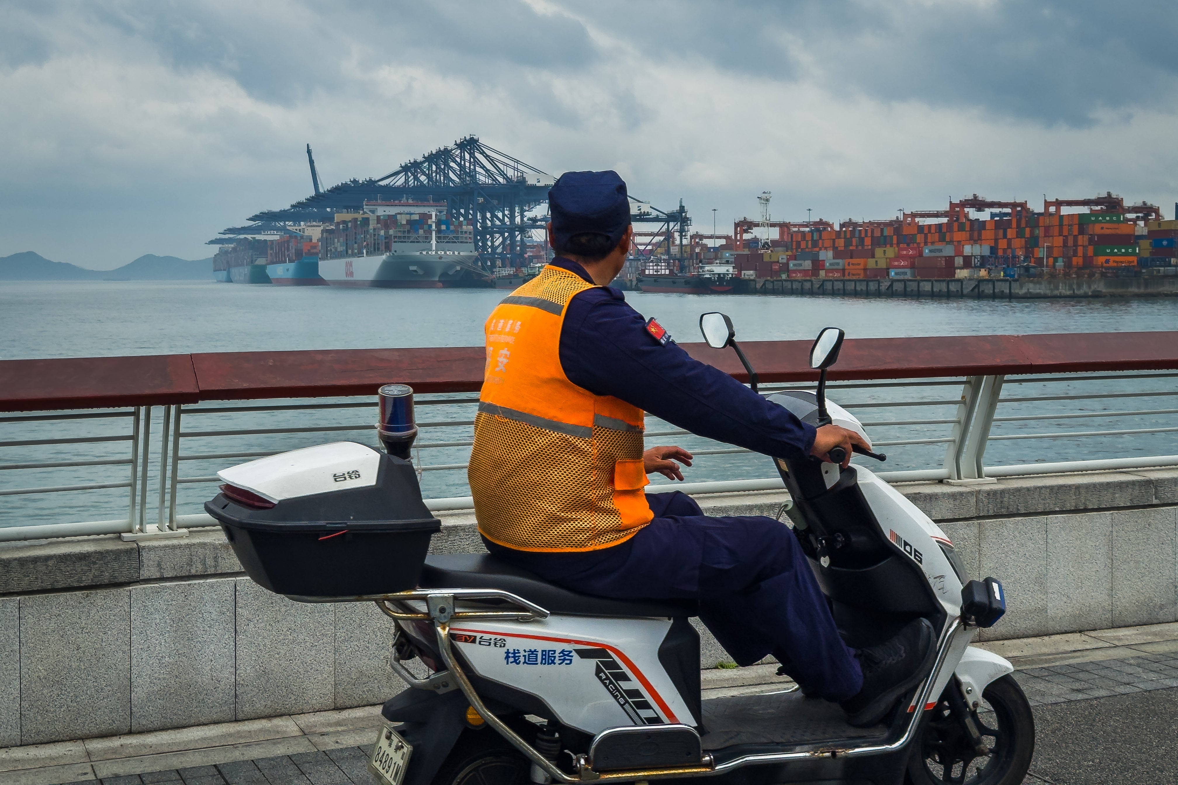 Image for America is the biggest loser in Trump's trade war, OECD says