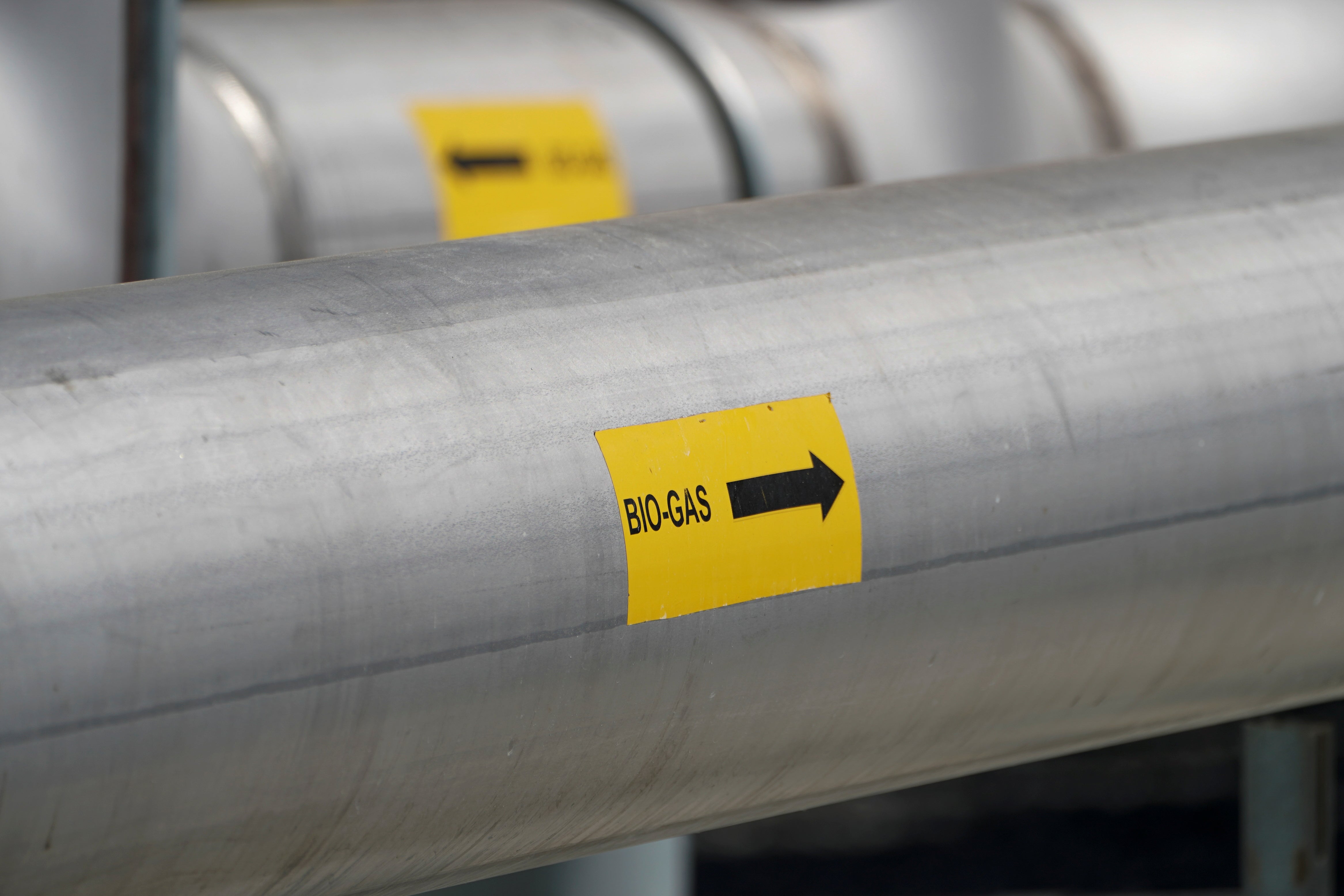 Image for 🌎 Pipe dreams