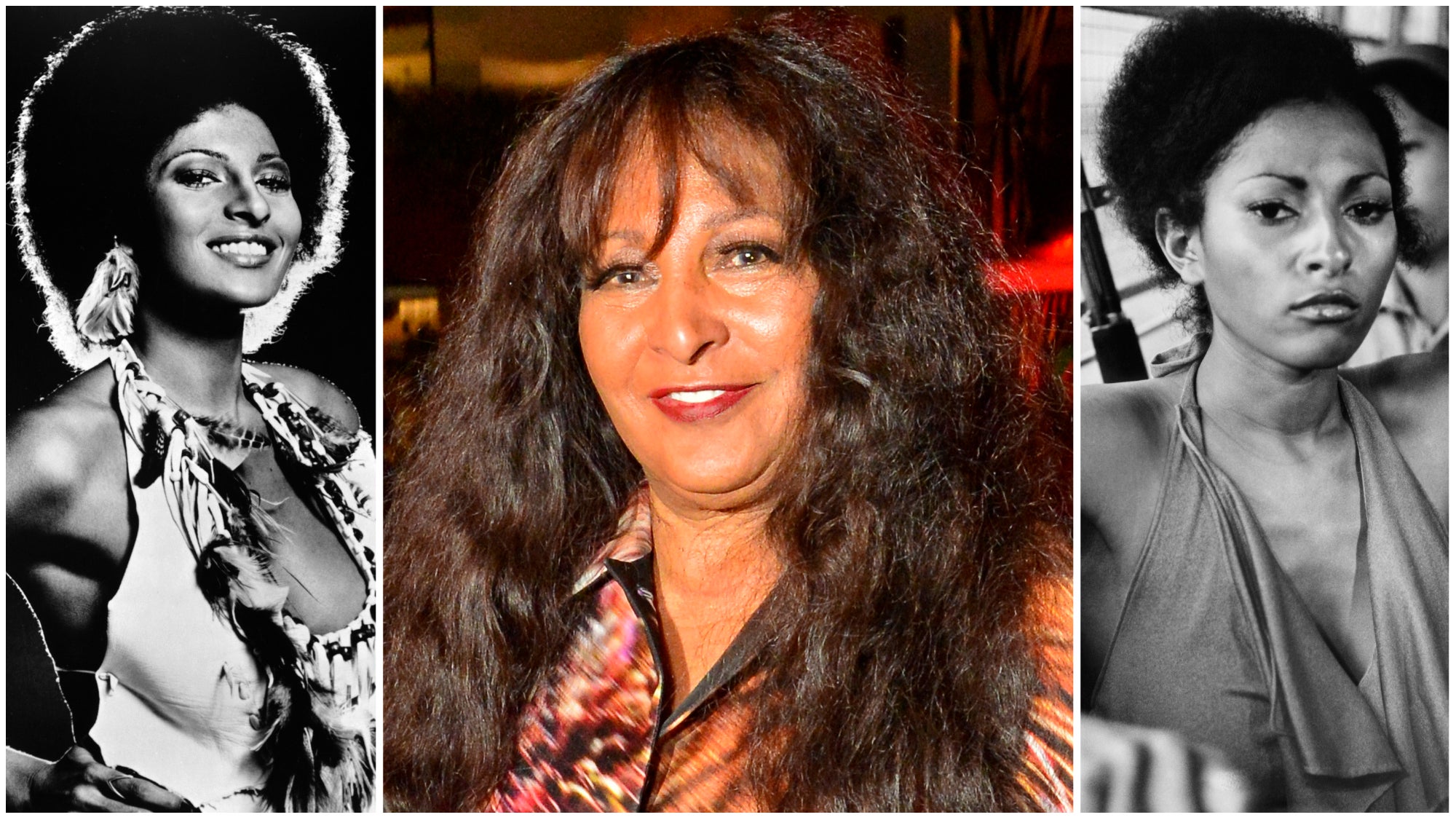 Pam Grier Fakes