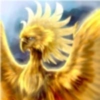 phoenix713