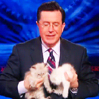 tornadosfirstcat