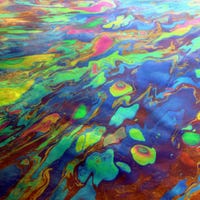 oilrainbows