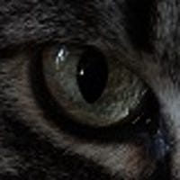 taltos1