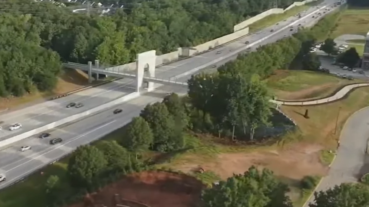 Internet Artist Labels South Carolina Bridge “Harambe Memorial”