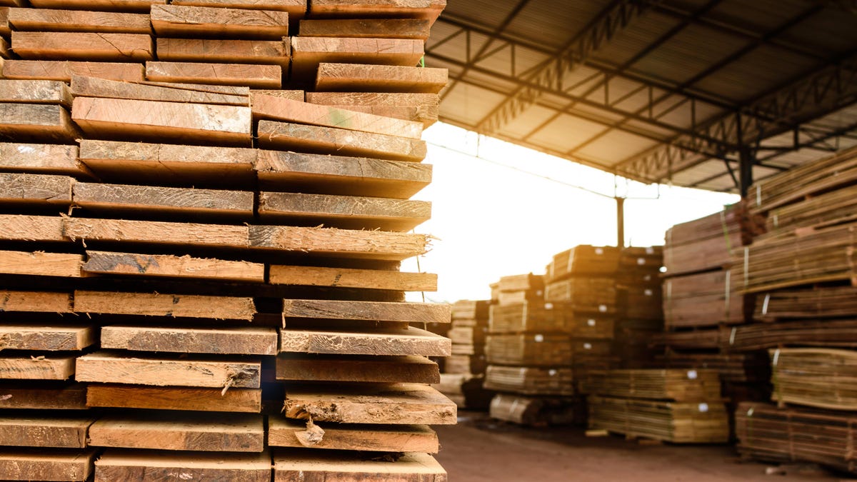 The difference between hardwood and softwood, and when to use them