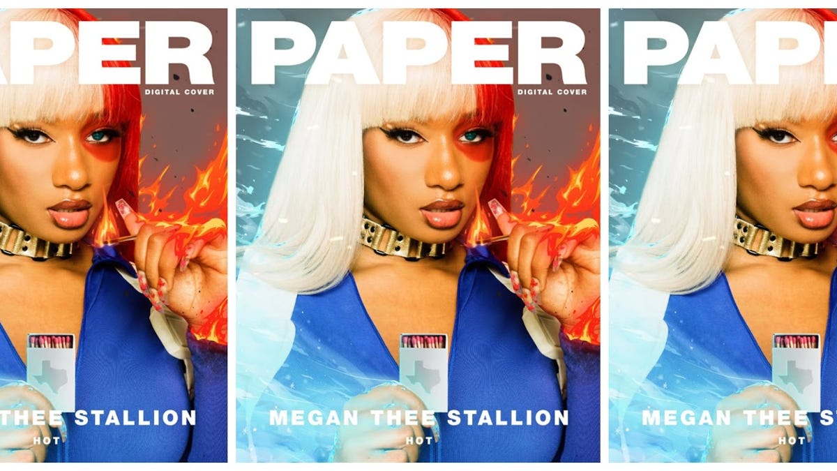 Megan Thee Stallion's Hair is a Symbol of Pride for Black Women Anime Fans  – StyleCaster