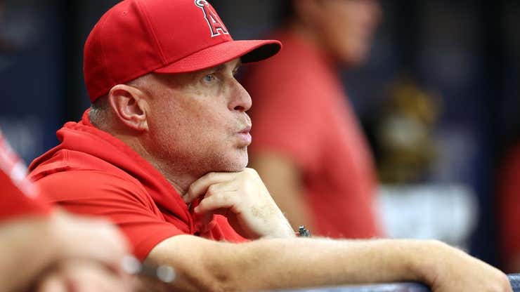 Image for Angels will not bring back manager Phil Nevin