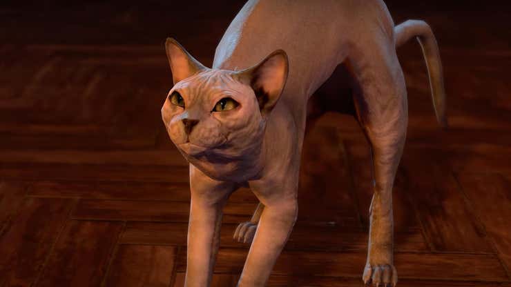 Image for Baldur’s Gate 3 Devs Give Sphynx Cat Fur, Immediately Apologize, Shave It Again