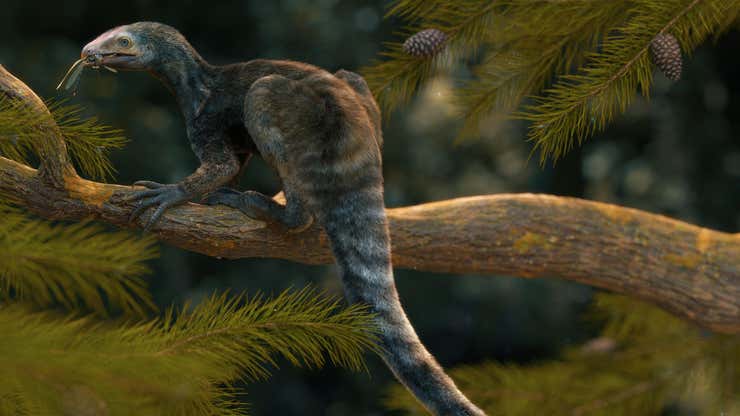 Image for Unique Triassic Reptile Had Slenderman Claws and a Beak