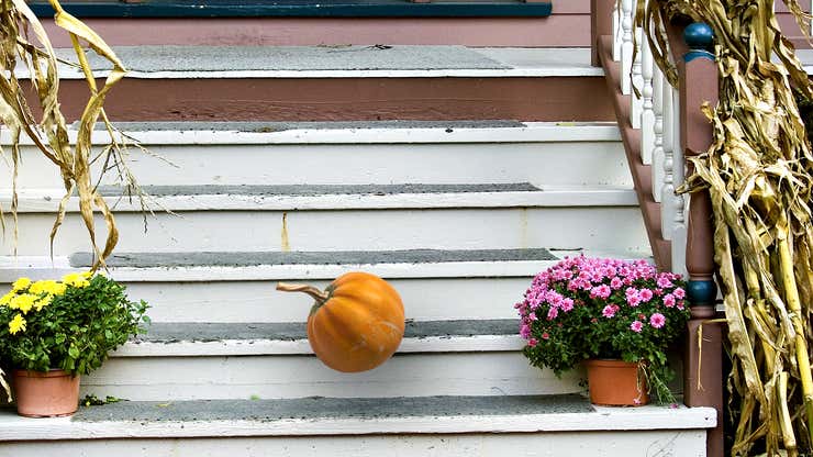 Image for Pumpkin Makes A Roll For It