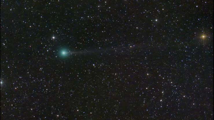 Image for See the New Comet Nishimura Before It Disappears for More Than 400 Years