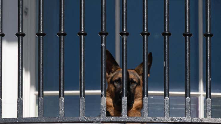 Image for Commander Biden Unjustly Booted From the White House