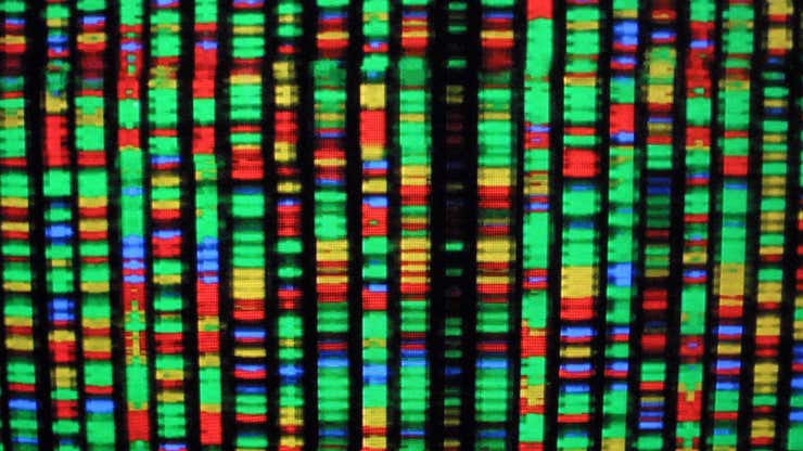 Image for Artificial Human Genomes Could Help Overcome Research Privacy Concerns